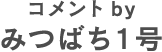 コメントbyみつばち1号